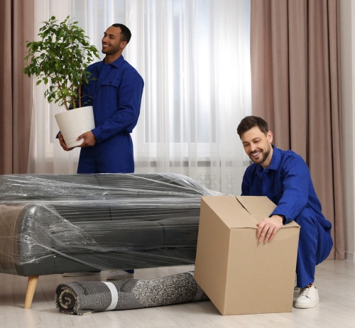 Moving team